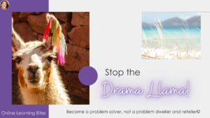 Stop the drama llama